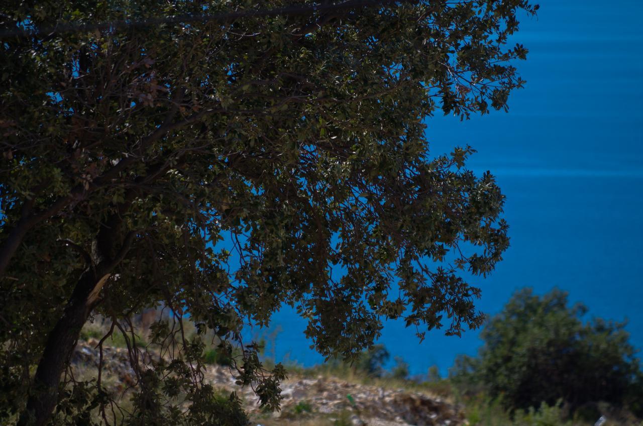 Sandra Apartments Konavle Luaran gambar