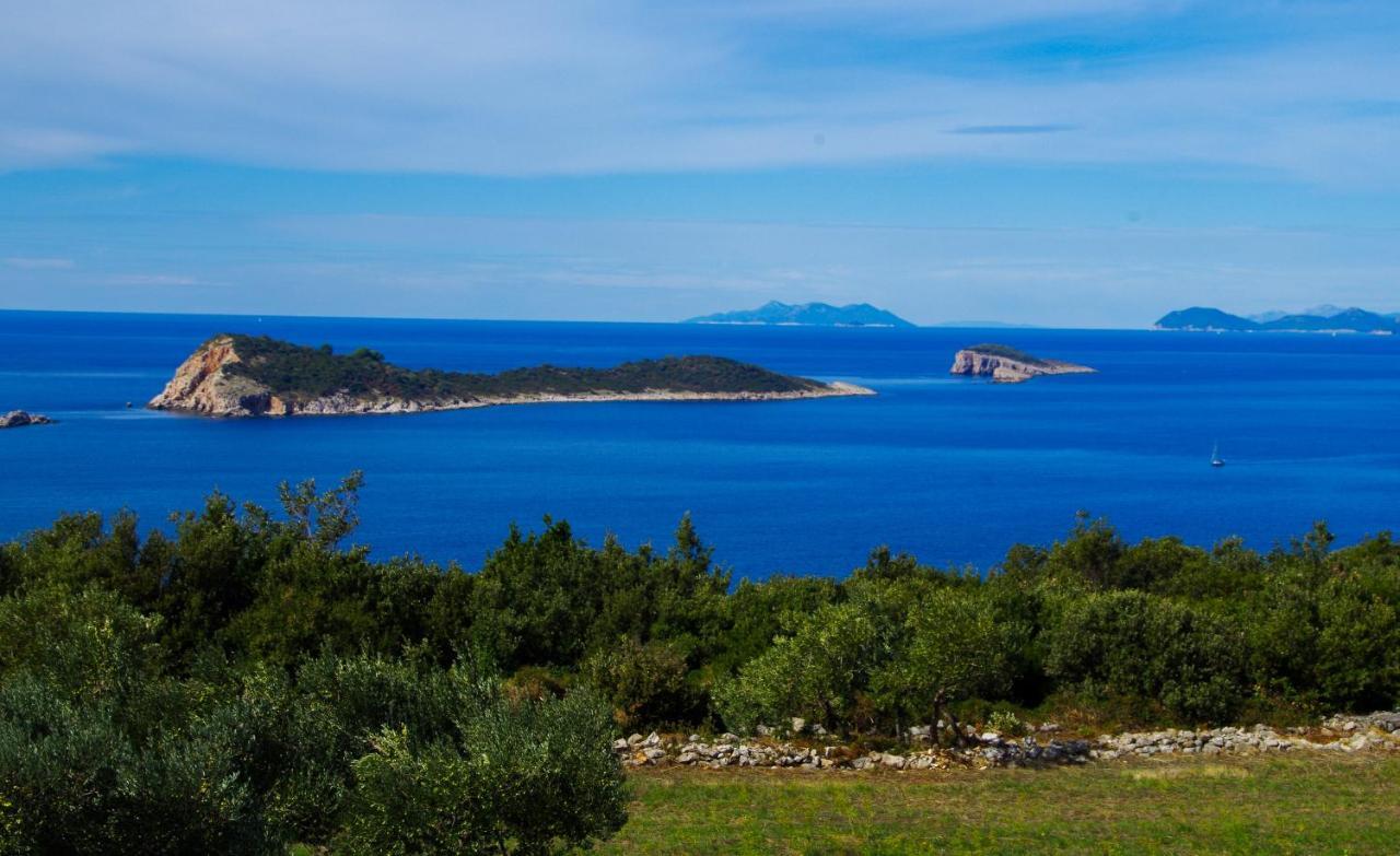 Sandra Apartments Konavle Luaran gambar